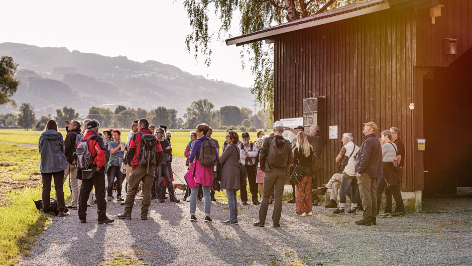 Spaziergäng Auer Ried_©Lukas Hämmerle (27) Spaziergäng Auer Ried_©Lukas Hämmerle (27)