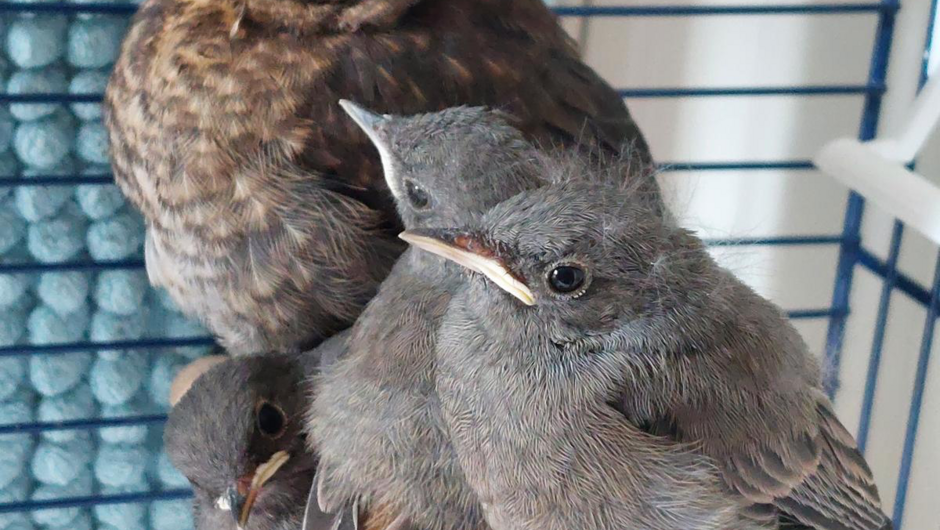 20260121_110046692_iOS