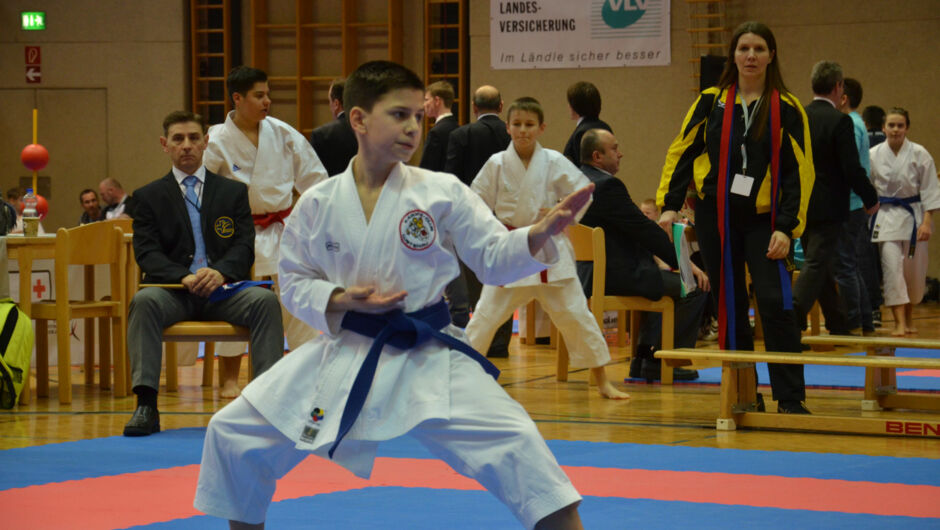 karate-lions-cup-2016--10-.jpg
