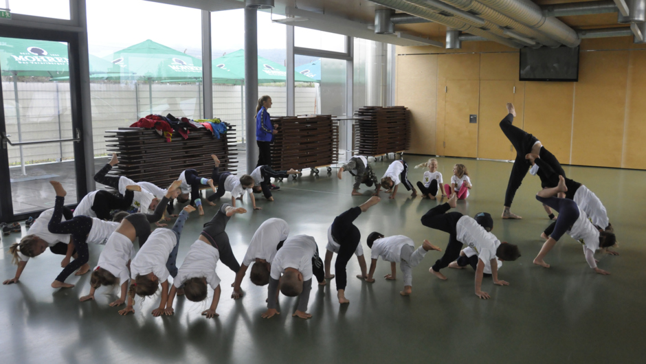 Camp2018_Capoeira Camp2018_Capoeira