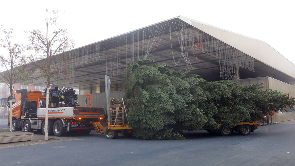 Christbaum 2018 (6) Christbaum 2018 (6)