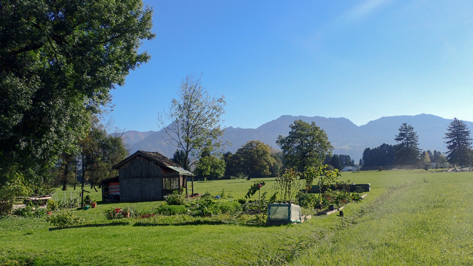 Riedhütte