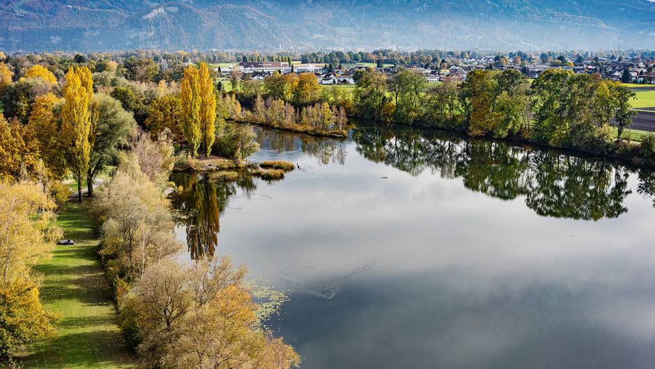 Alter Rhein Herbst