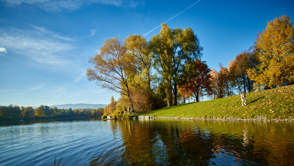 Alter Rhein Herbst