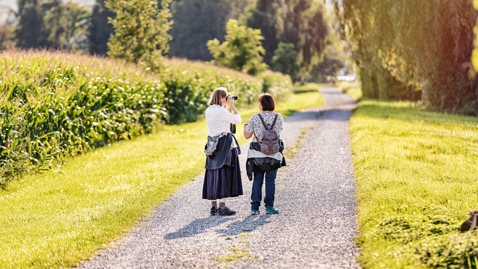 Spaziergäng Auer Ried_©Lukas Hämmerle (18) Spaziergäng Auer Ried_©Lukas Hämmerle (18)