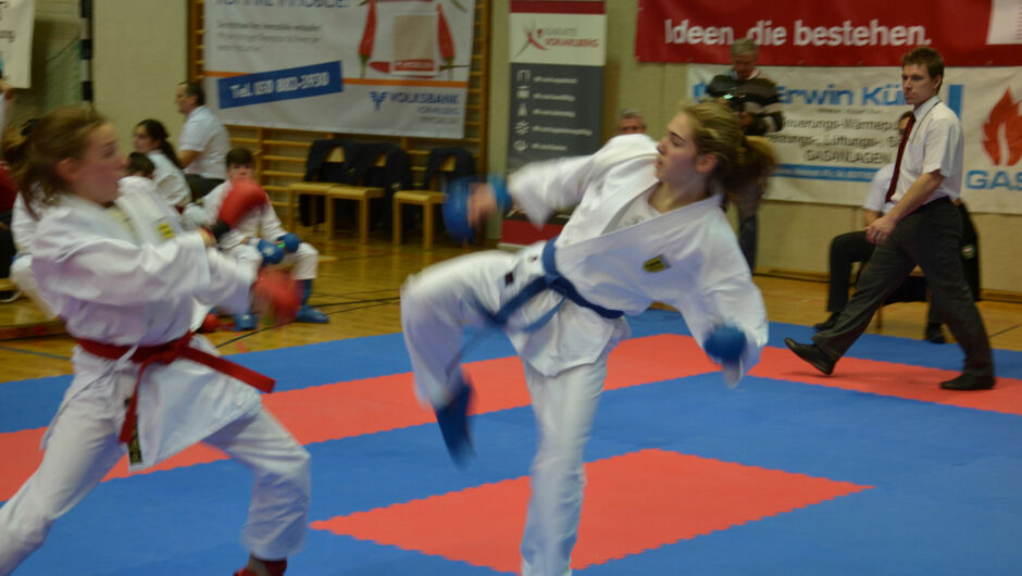 karate-lions-cup-2016--11-.jpg