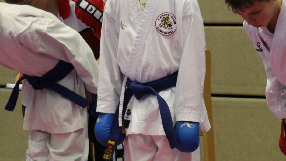 Karate-Lions-Cup-2016-(41)