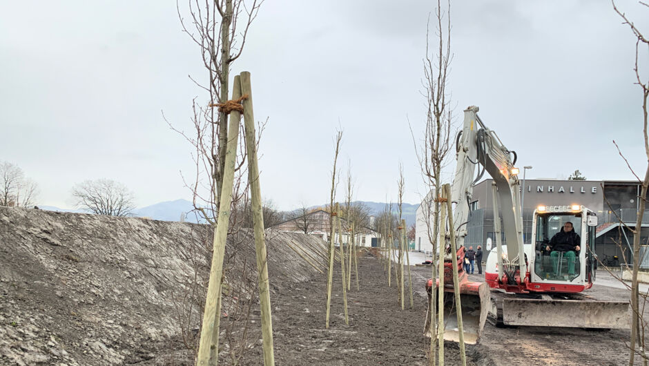 Weiteres Bild 01 Baumoffensive