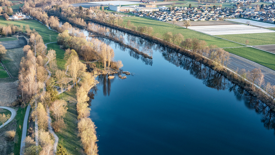 Alter Rhein Frühjahr