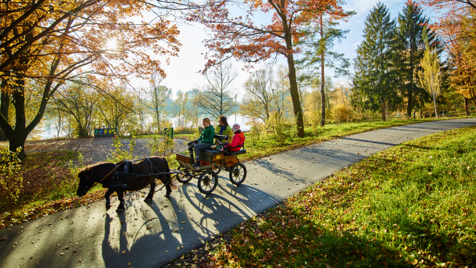 Alter Rhein Herbst