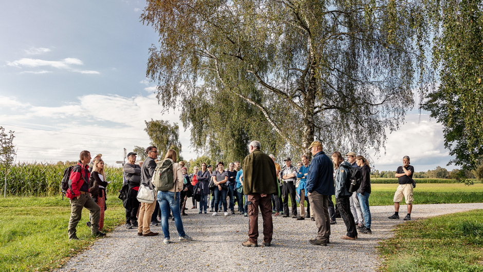 Spaziergäng Auer Ried_©Lukas Hämmerle (49) Spaziergäng Auer Ried_©Lukas Hämmerle (49)