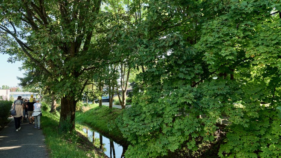 Spaziergäng Heimwege_©Miro Kuzmanovic (8) Spaziergäng Heimwege_©Miro Kuzmanovic (8)