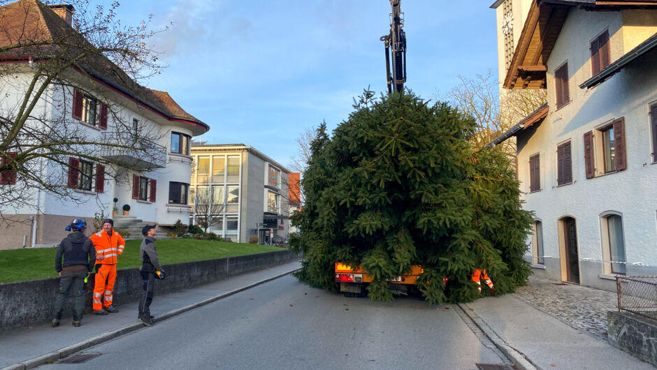 christbaum 2021-58 christbaum 2021-58
