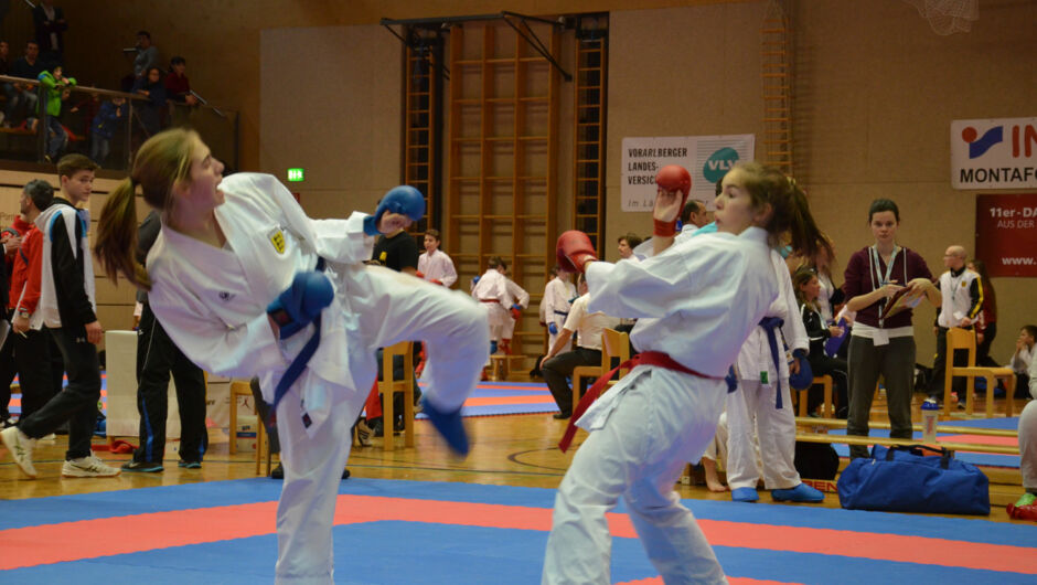 karate-lions-cup-2016--12-.jpg