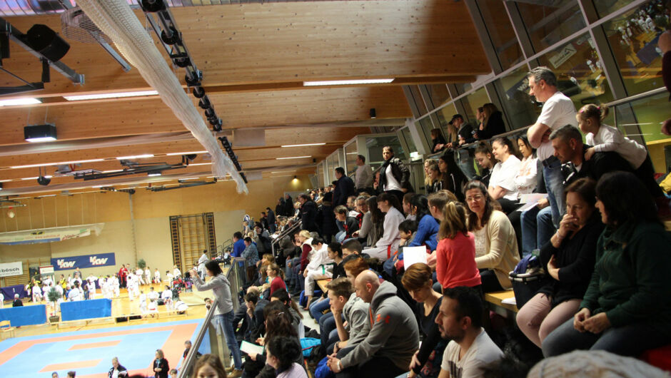 Karate-Lions-Cup-2016-(82)