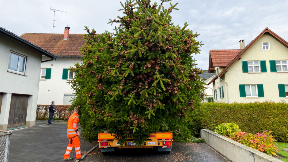 Christbaum_Transport