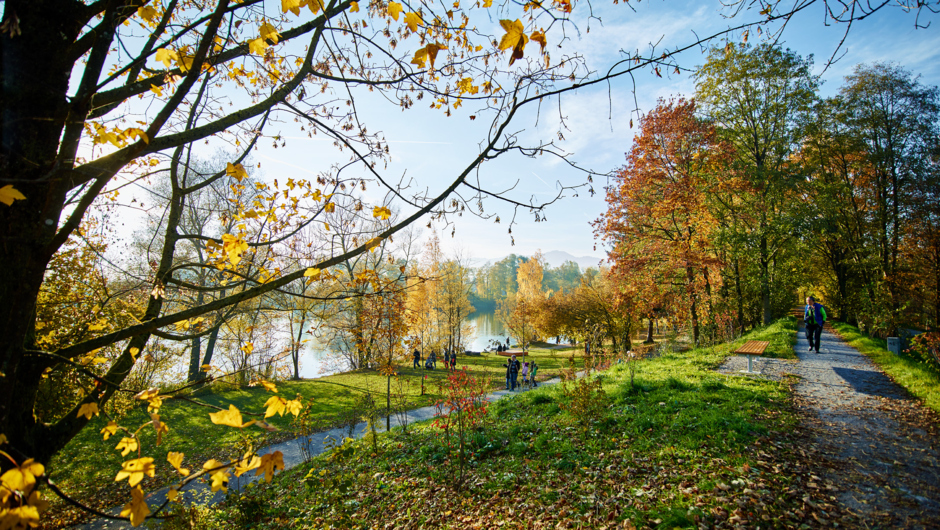 Alter Rhein Herbst