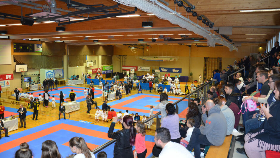 karate-lions-cup-2016--3-.jpg