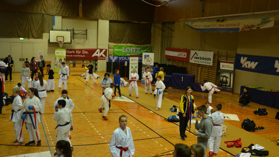 karate-lions-cup-2016--13-.jpg