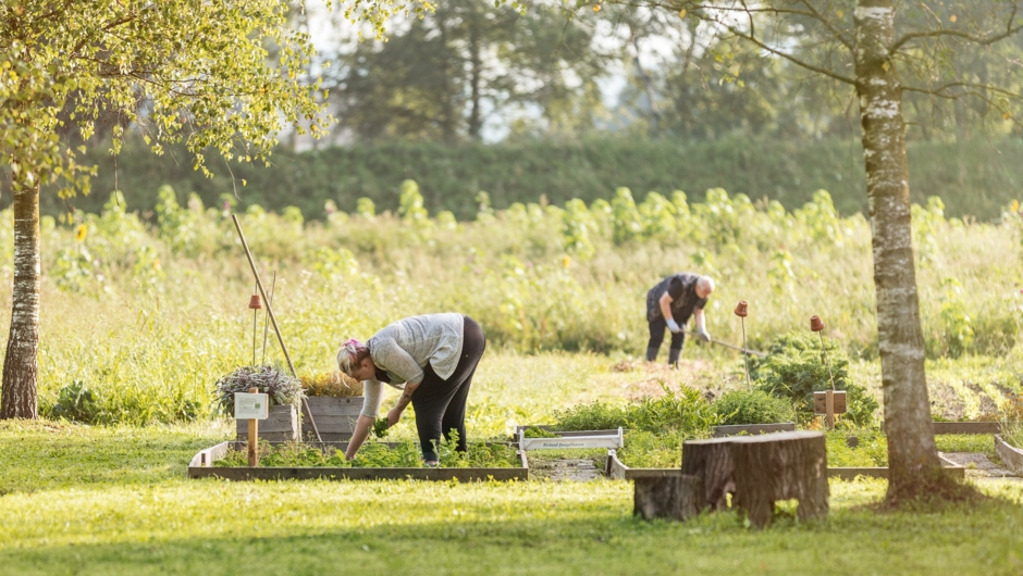 Gutshof Heidensand_INTEGRA Soziale Landwirtschaft @Lukas Hämmerle (5)