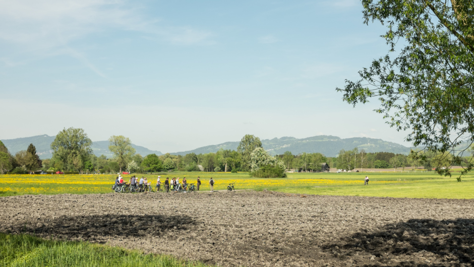 LEK Wahrnehmungsfahrt Ried April 2018_print (178) LEK Wahrnehmungsfahrt Ried April 2018_print (178)