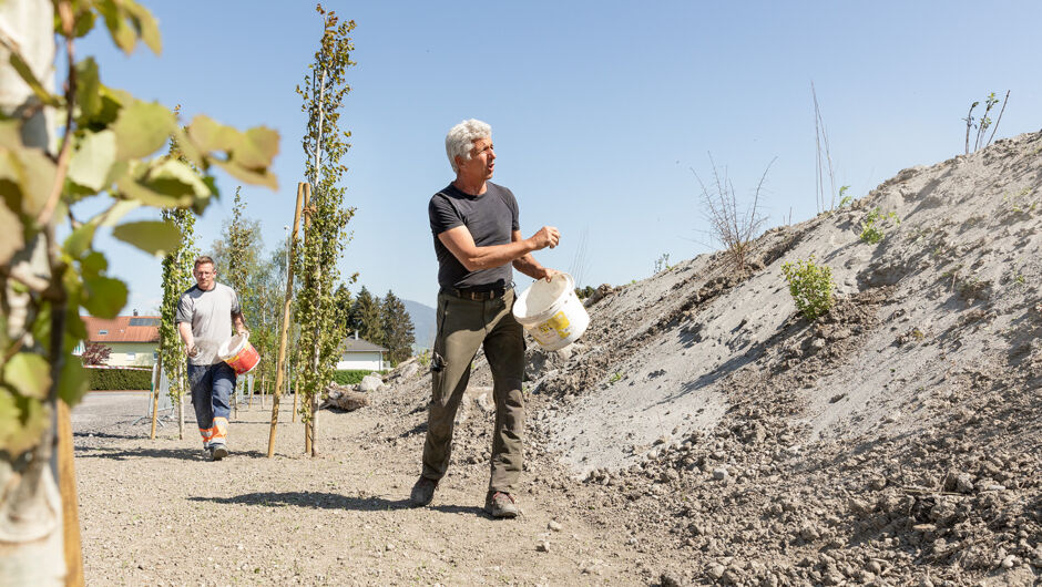 Baumpflanzung_Bienenhügel_©Lukas Hämmerle (30)