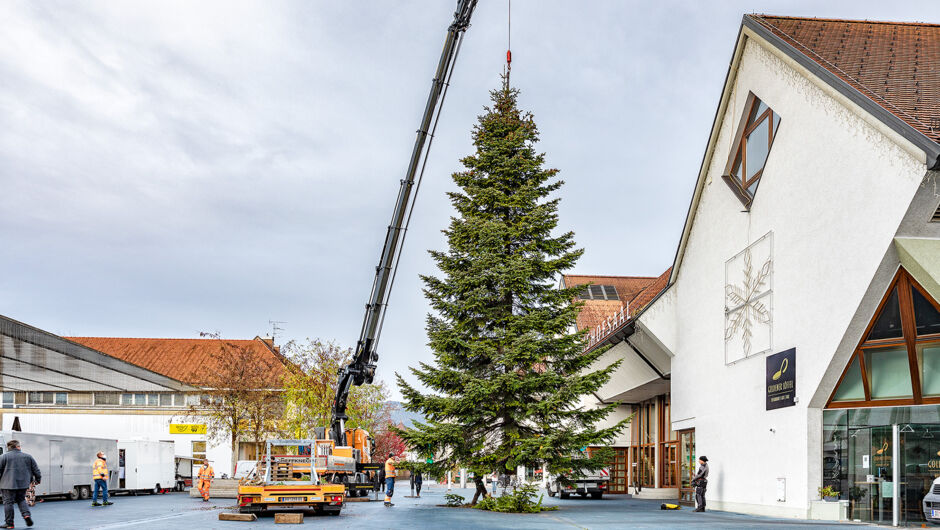 Christbaum_Kirchplatz_Aufbau