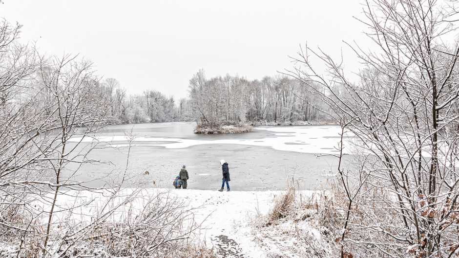 Alter Rhein Winter