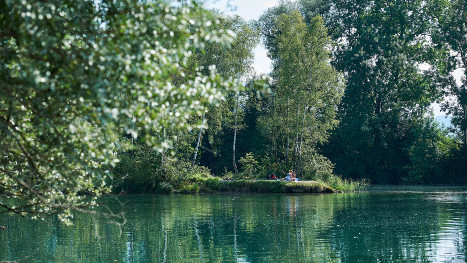 Alter Rhein Sommer