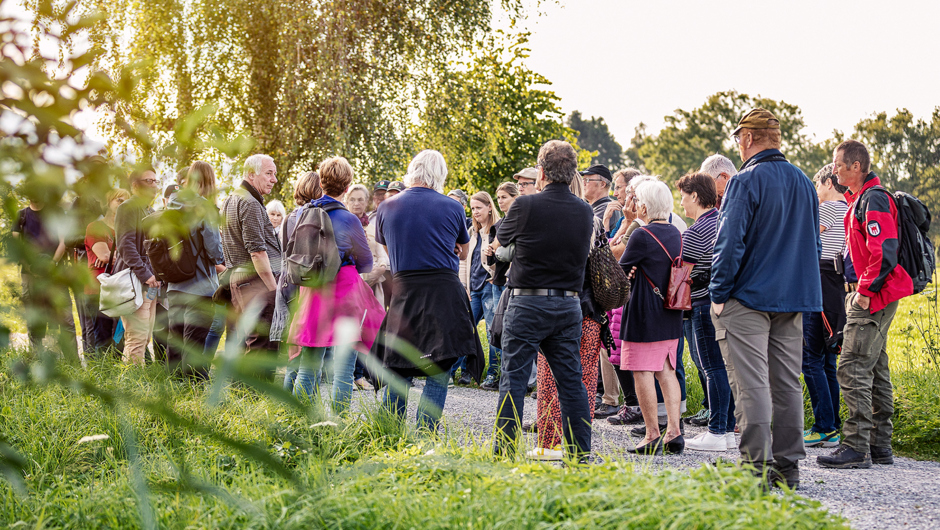 Spaziergäng Auer Ried_©Lukas Hämmerle (11) Spaziergäng Auer Ried_©Lukas Hämmerle (11)