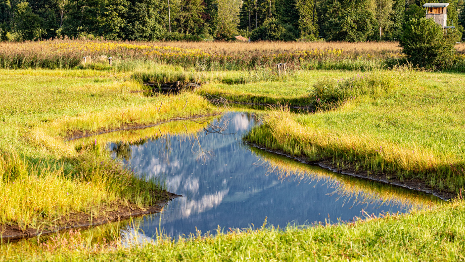 Spaziergäng Auer Ried_©Lukas Hämmerle (21) Spaziergäng Auer Ried_©Lukas Hämmerle (21)