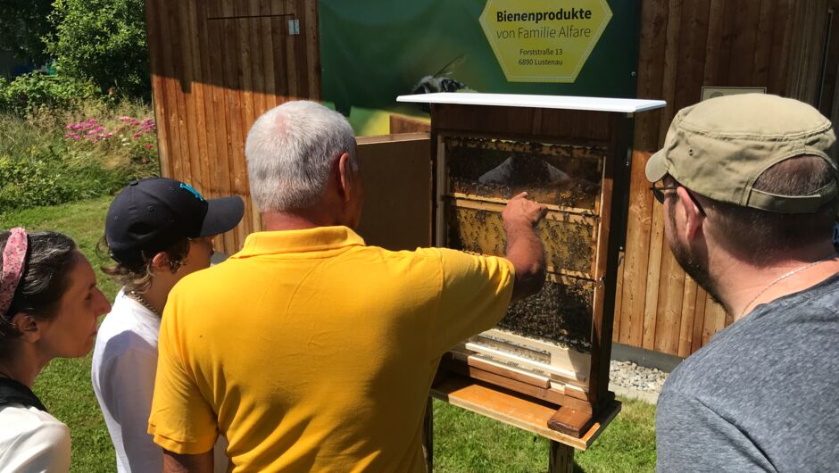 foto6UW_Tag_des_offenen_Bienenstocks_22_06_12_019