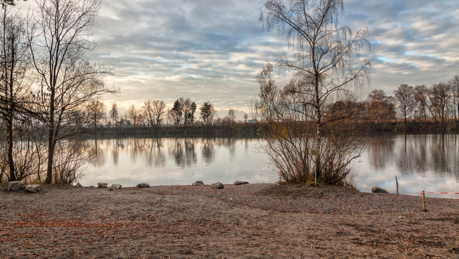 _MG_4729 _MG_4729