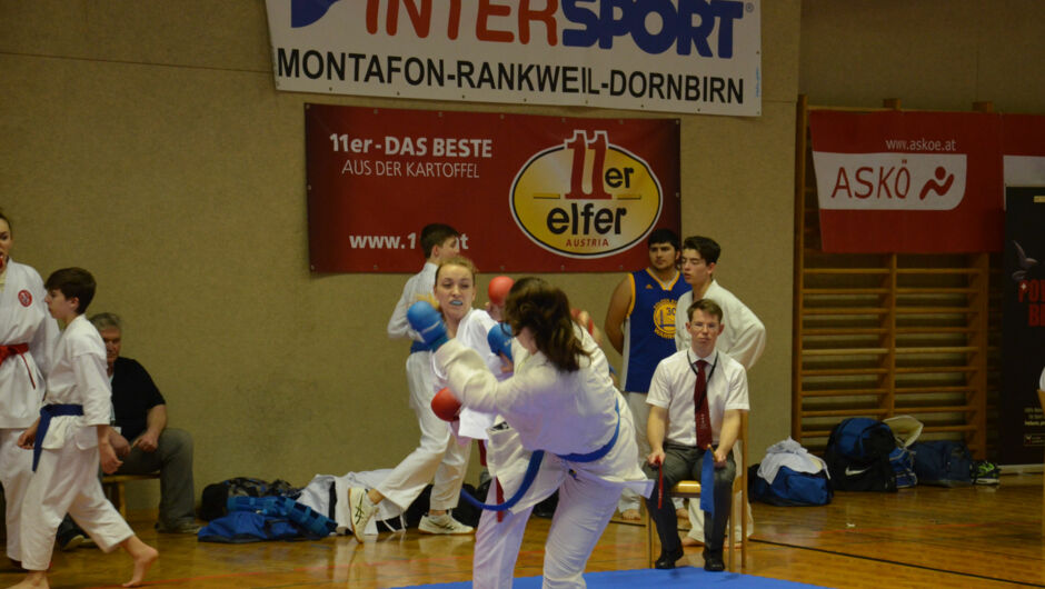 karate-lions-cup-2016--14-.jpg