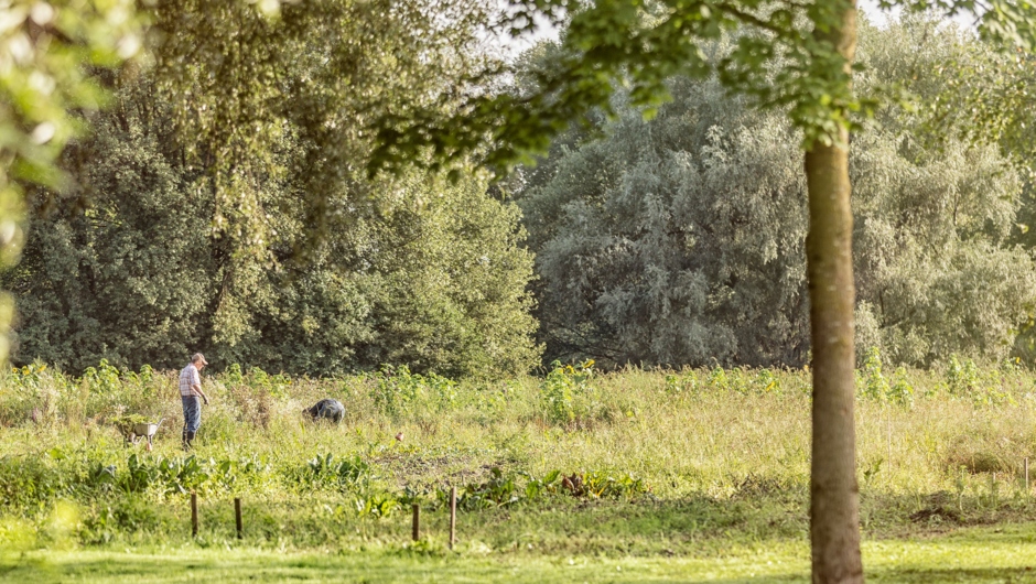 Gutshof Heidensand_INTEGRA Soziale Landwirtschaft