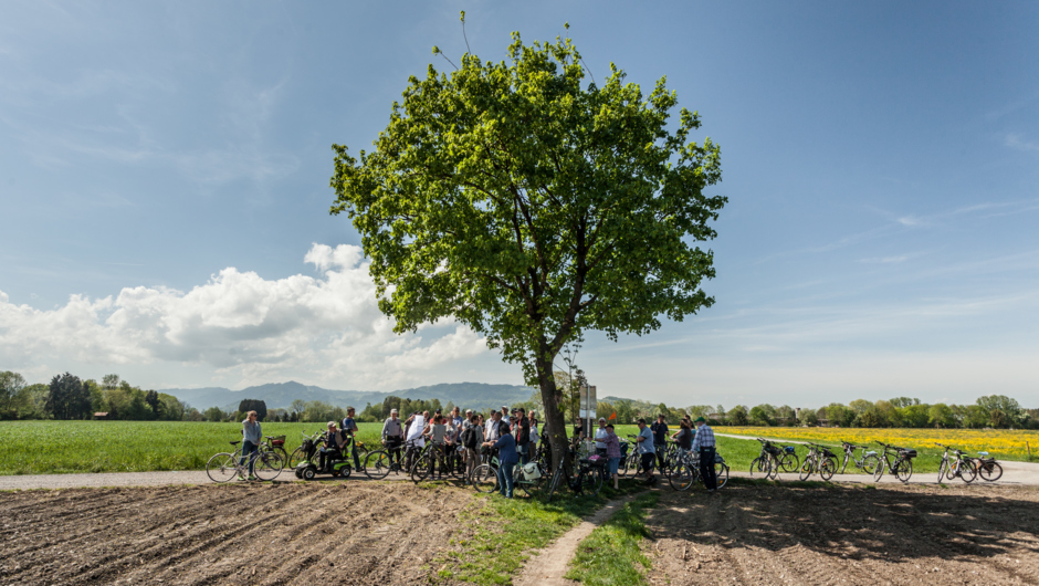 LEK Wahrnehmungsfahrt Ried April 2018_print (76) LEK Wahrnehmungsfahrt Ried April 2018_print (76)