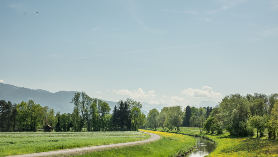 LEK Wahrnehmungsfahrt Ried April 2018_print (53) LEK Wahrnehmungsfahrt Ried April 2018_print (53)