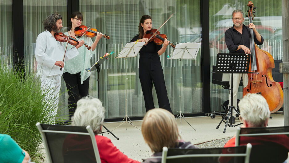 Klassik im Hof (107)