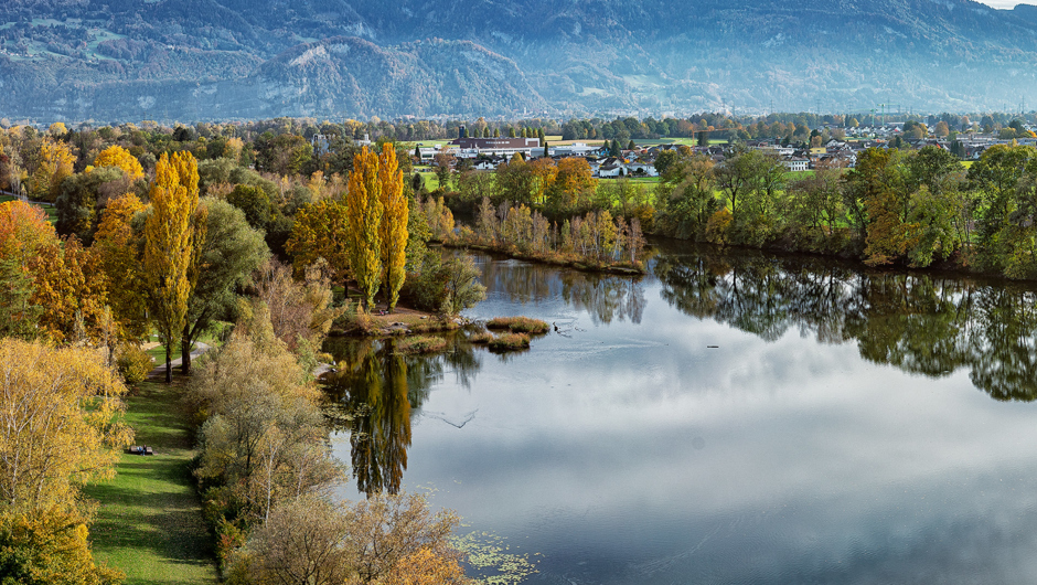 Alter Rhein Herbst