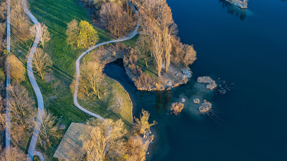 Alter Rhein Frühjahr