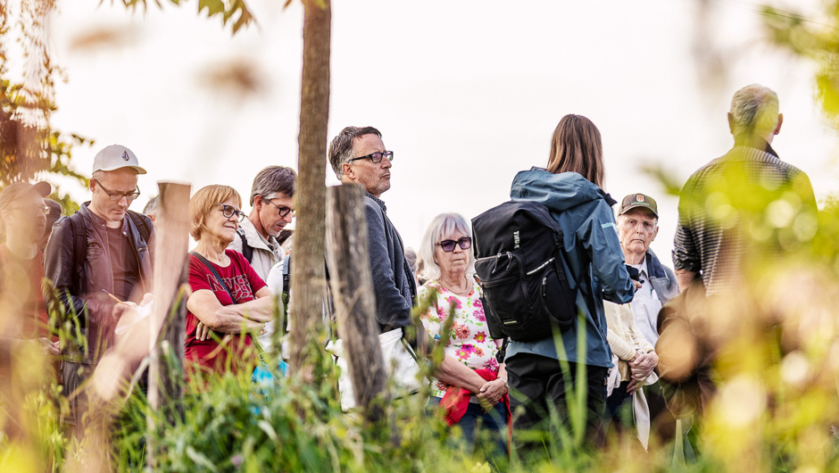 Spaziergäng Auer Ried_©Lukas Hämmerle (12) Spaziergäng Auer Ried_©Lukas Hämmerle (12)