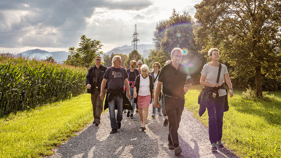 Spaziergäng Auer Ried_©Lukas Hämmerle (51) Spaziergäng Auer Ried_©Lukas Hämmerle (51)