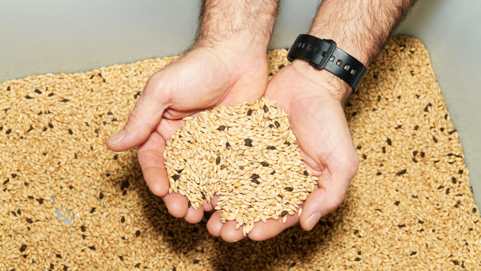 20251205_MIK_284960_HiRes