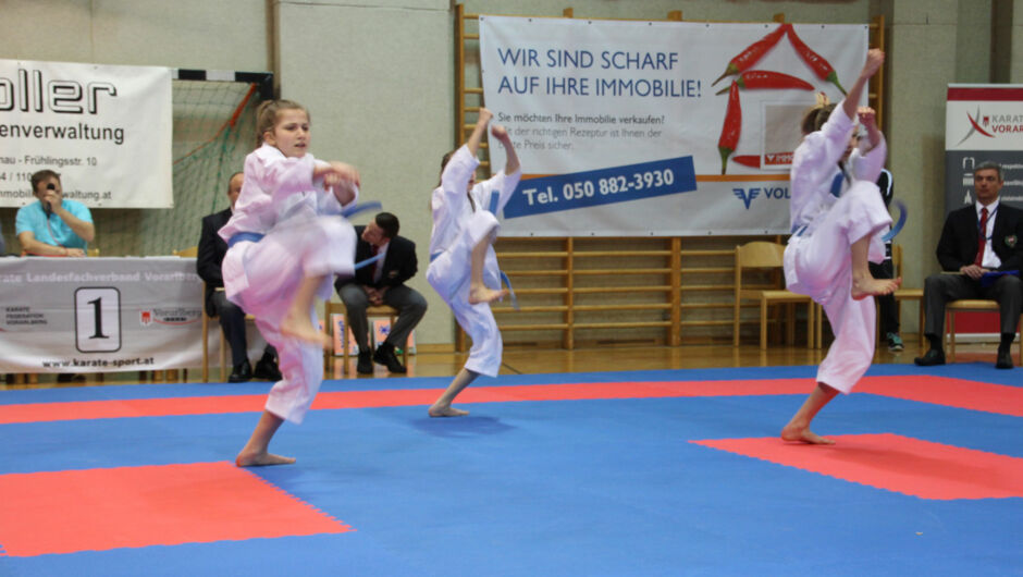 Karate-Lions-Cup-2016-(25)
