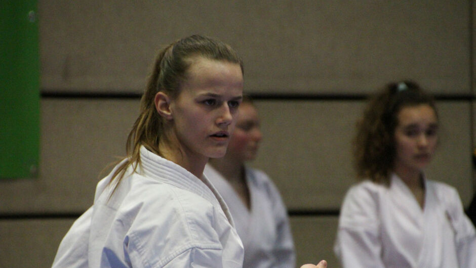 Karate-Lions-Cup-2016-(35)