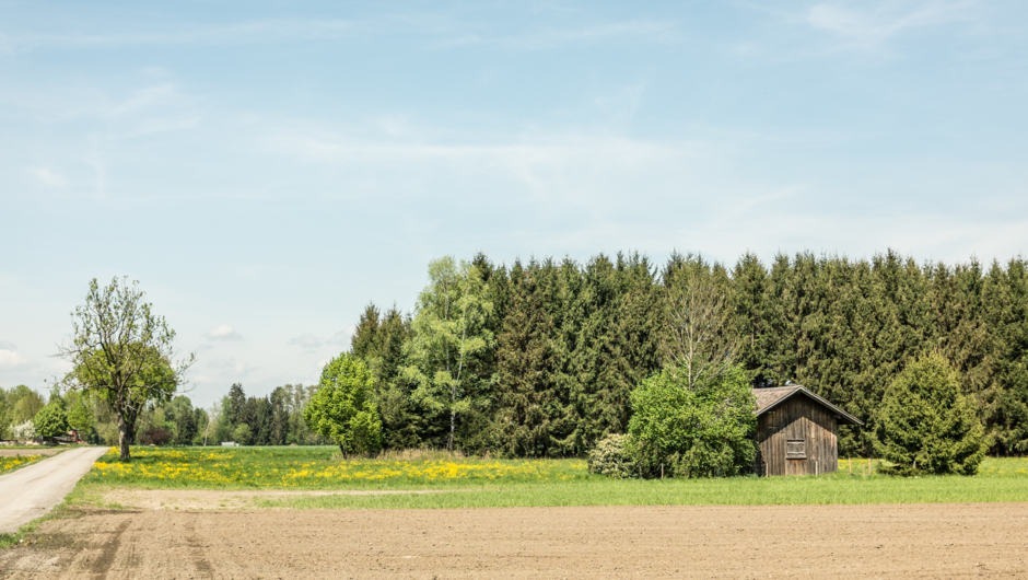 LEK Wahrnehmungsfahrt Ried April 2018_print (72) LEK Wahrnehmungsfahrt Ried April 2018_print (72)