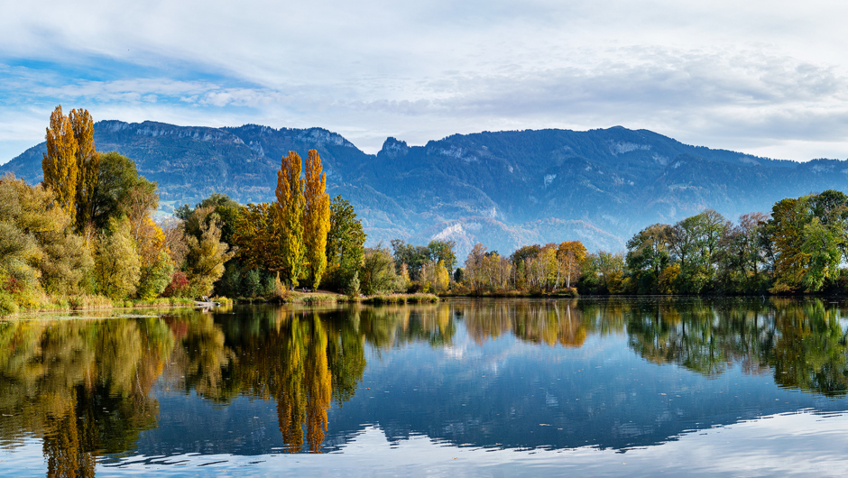 Alter Rhein Herbst