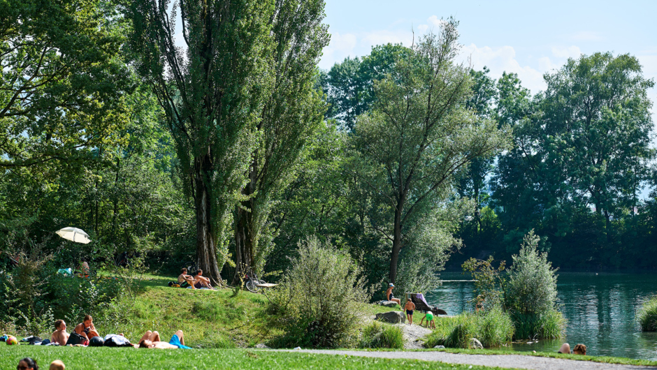 Alter Rhein Sommer