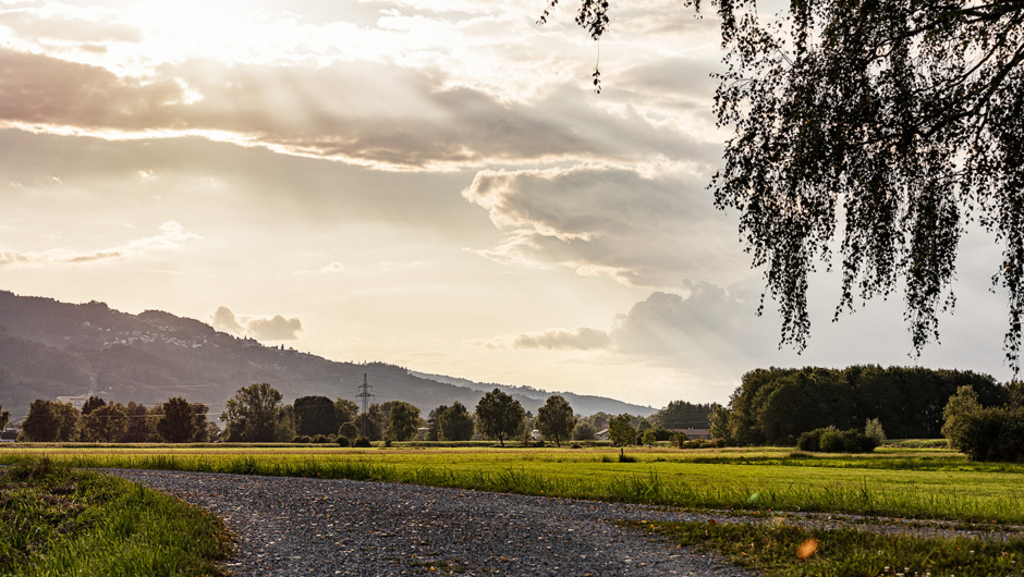 Spaziergäng Auer Ried_©Lukas Hämmerle (33) Spaziergäng Auer Ried_©Lukas Hämmerle (33)