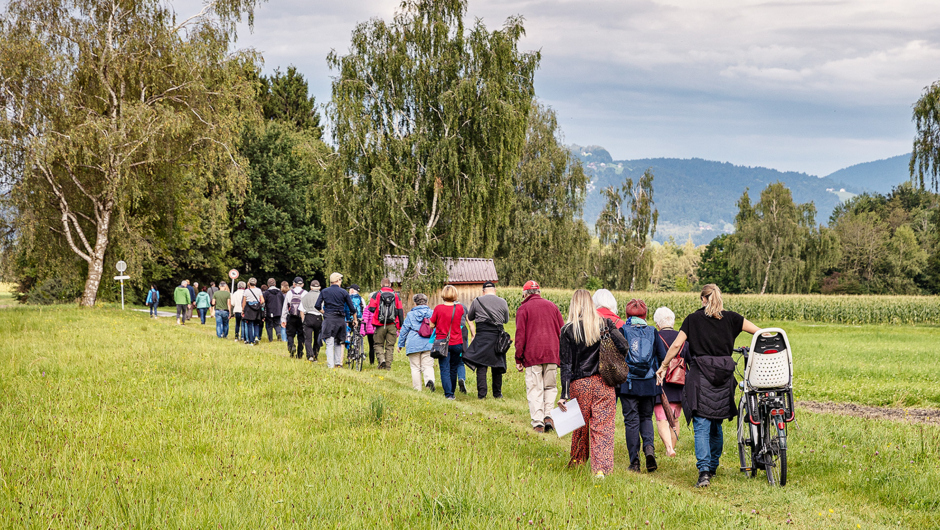 Spaziergäng Auer Ried_©Lukas Hämmerle (43) Spaziergäng Auer Ried_©Lukas Hämmerle (43)